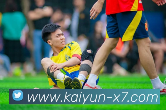 kaiyun体育官网入口服务体系
